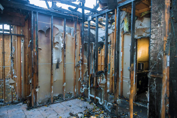 Professional Fire Damage Removal technician working in Los Fresnos, TX